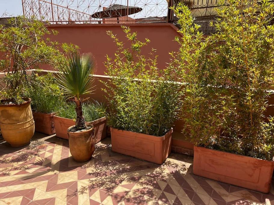 Riad Nadara, Superbe Riad Au Coeur De La Medina! Marrakesz Zewnętrze zdjęcie